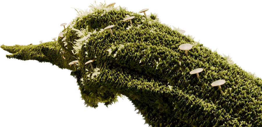 Mushroom Growth — render