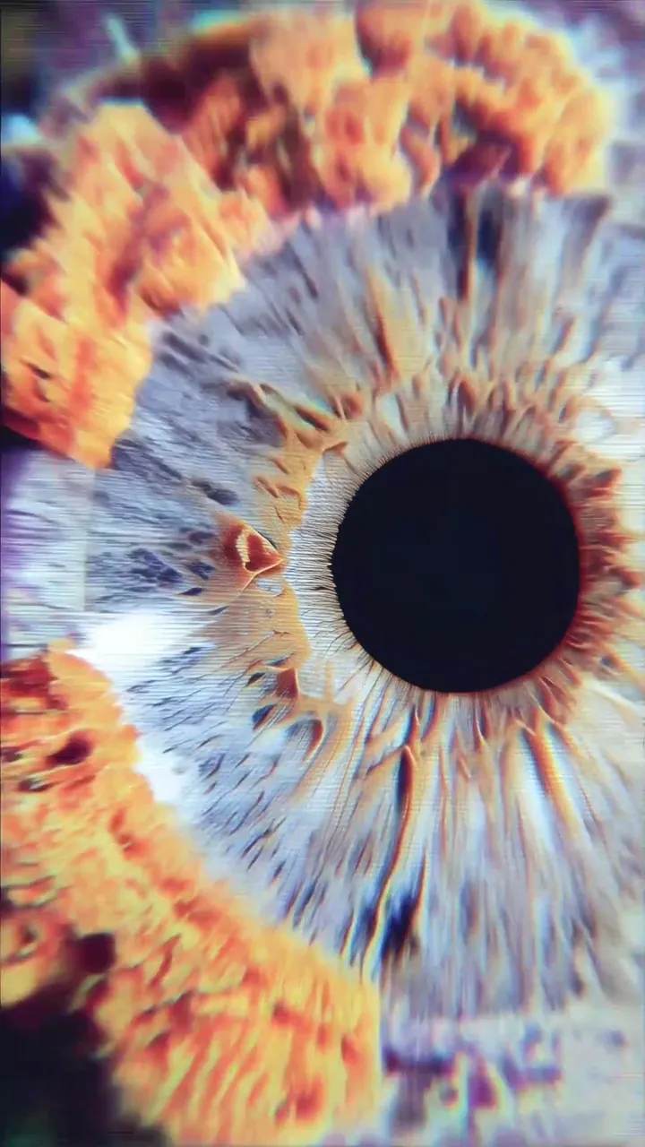 Iris — still frame